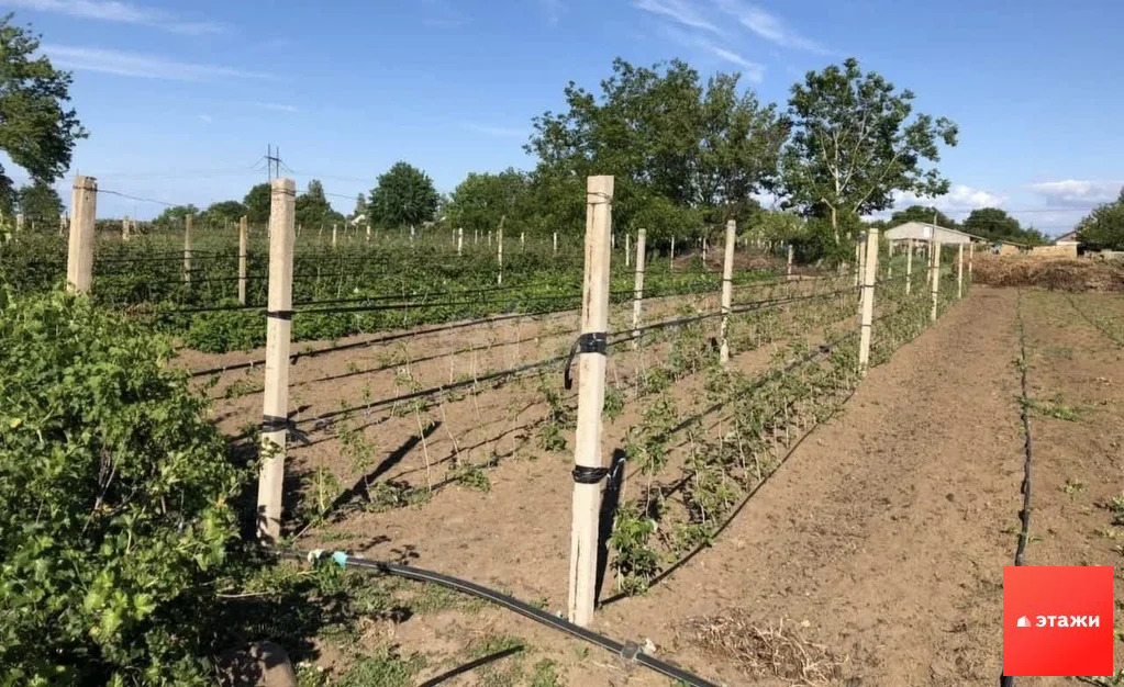 Продажа дома, Вишневка, Красноперекопский район, ул. Маленко - Фото 16