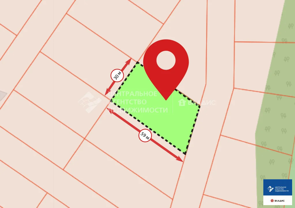 Продажа участка, Фролово, Клепиковский район - Фото 8