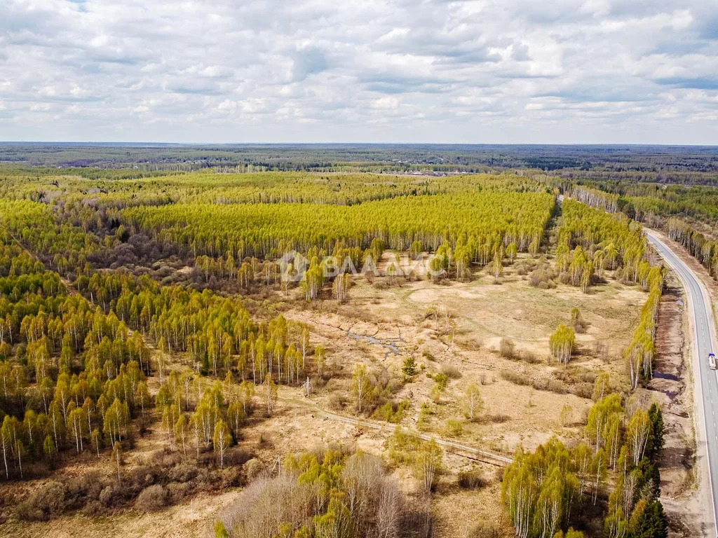 Судогодский район, деревня Кощеево, земля на продажу - Фото 8