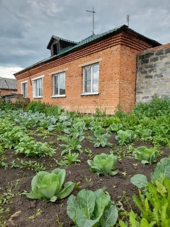 Погода в чусовитино ленинск кузнецком районе