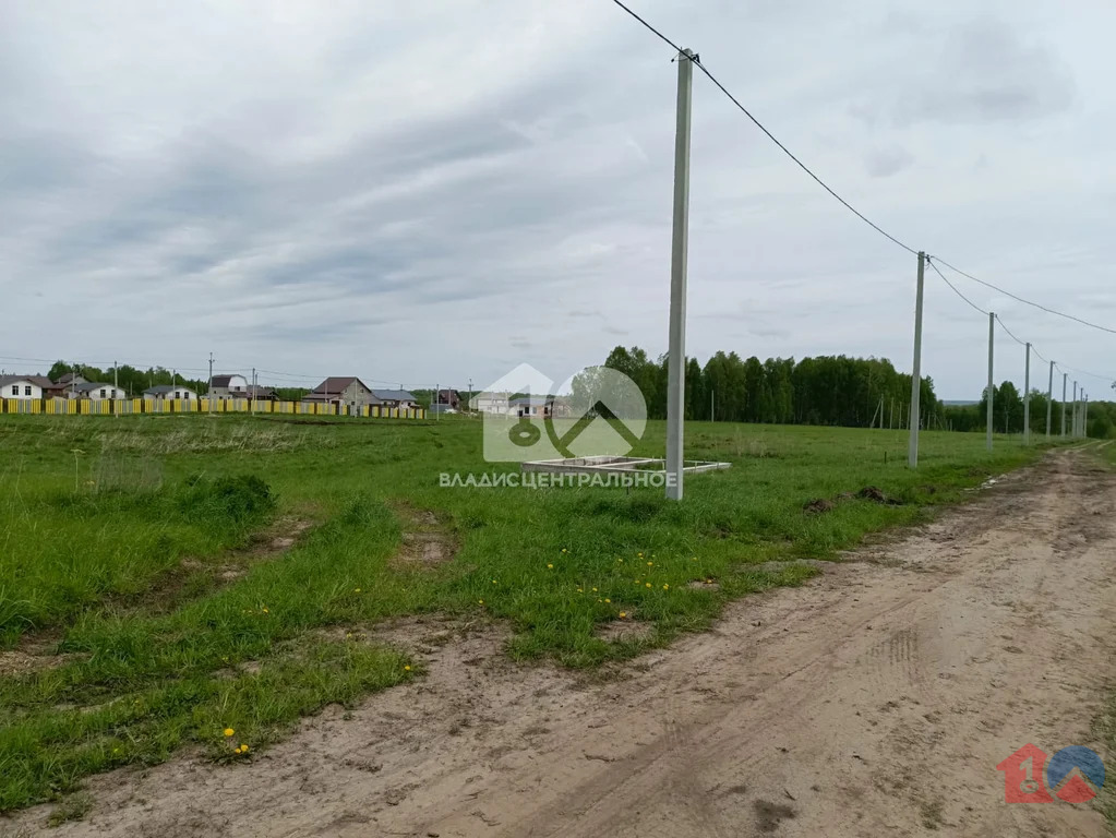 Новосибирский район, село Плотниково, улица Мира,  земля на продажу - Фото 6