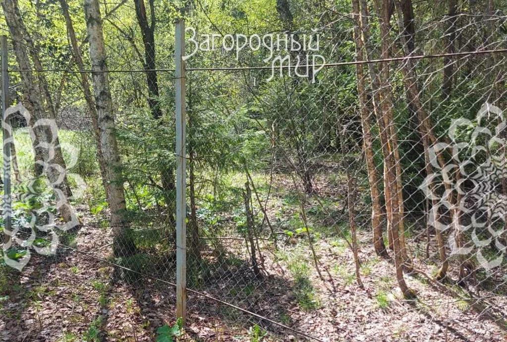 Продам участок, Новорижское шоссе, 71 км от МКАД - Фото 4