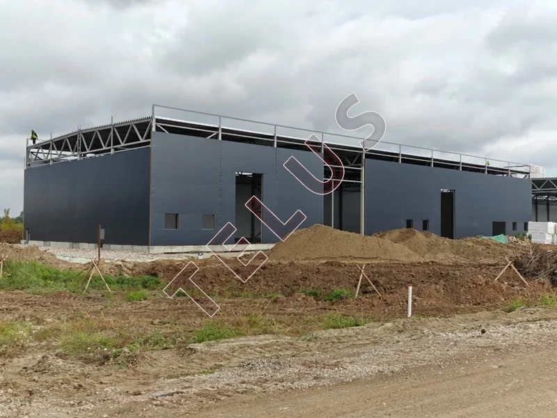 МО, Богородский г.о., Промышленный парк, 1440 м2, Лайт Индастриал под ... - Фото 10