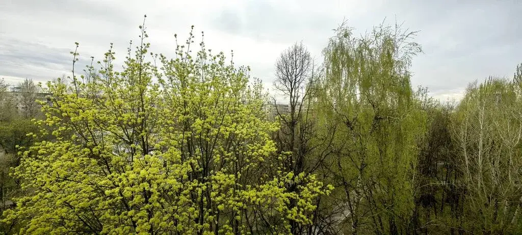 1-ка, Молостовых, 4к2 - Фото 13