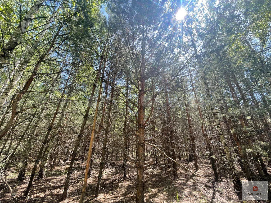 Продажа участка, Орел, Лаишевский район, ул. Ясная - Фото 3