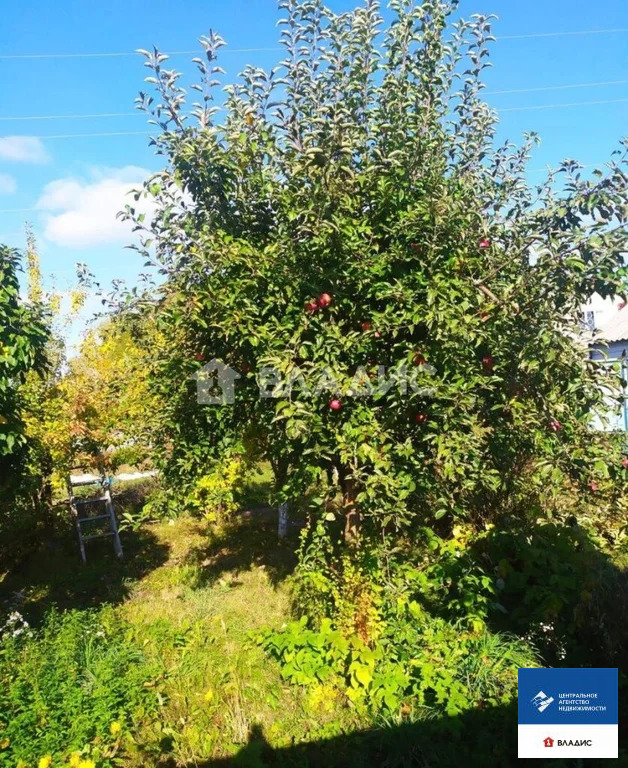 Продажа дома, Новомичуринск, Пронский район, садовое товарищество ... - Фото 18