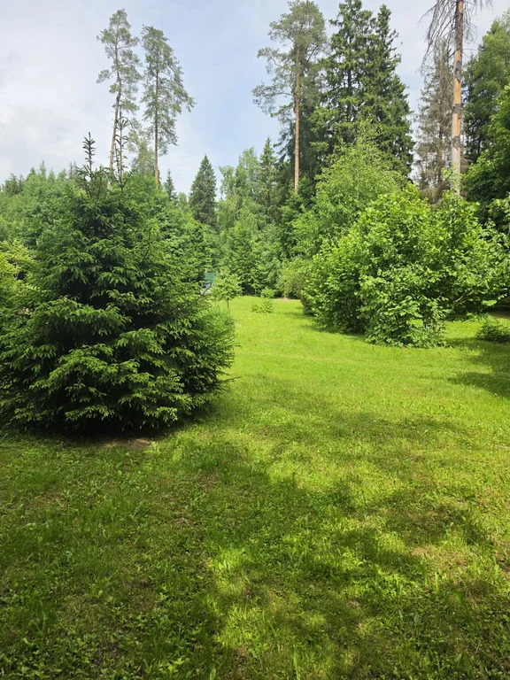Продажа участка, Мытищинский район - Фото 30