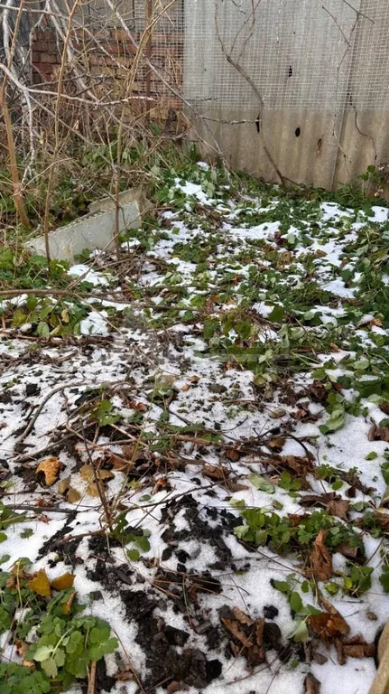 Продажа дома, Минеральные Воды, ул. Свободы - Фото 11