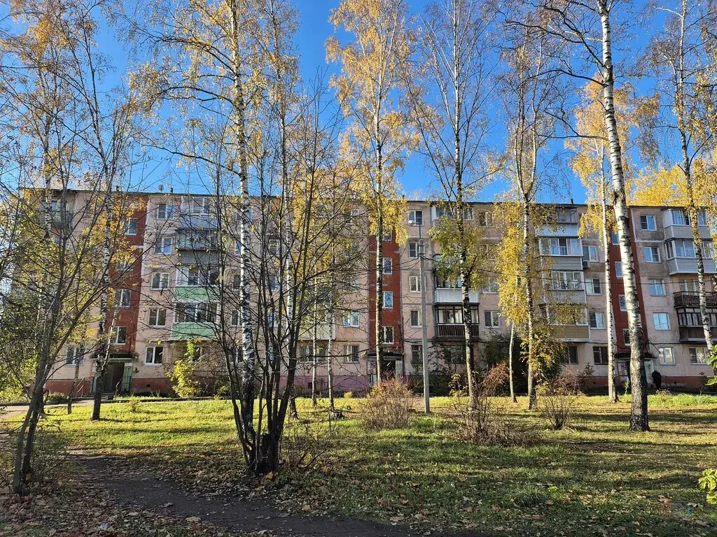 2-к. квартира, 44,4 м2, 5/5 эт. - Фото 36