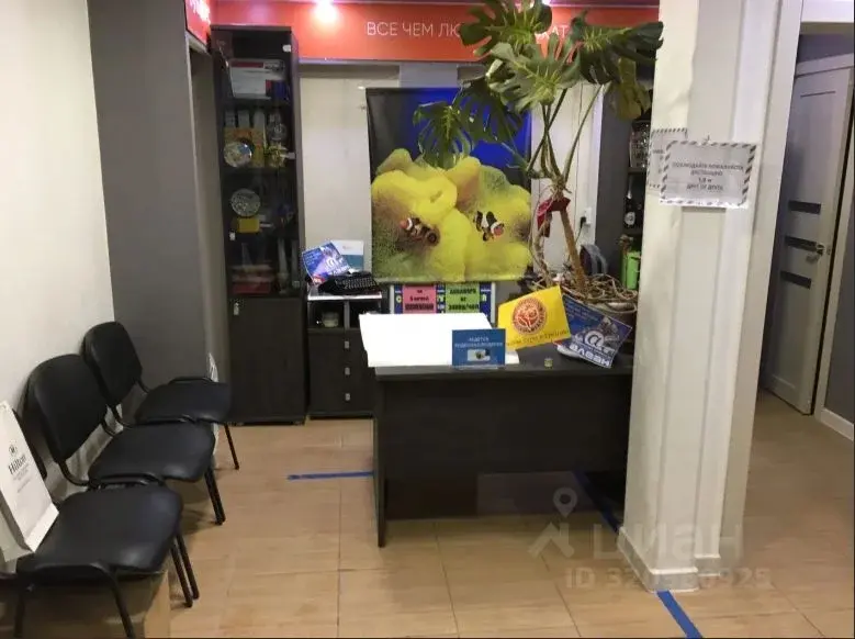 Помещение свободного назначения, офис, магазин - Фото 3