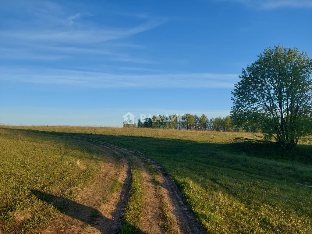 Земельный участок на продажу, Юрьев-Польский район, село Небылое, ... - Фото 14