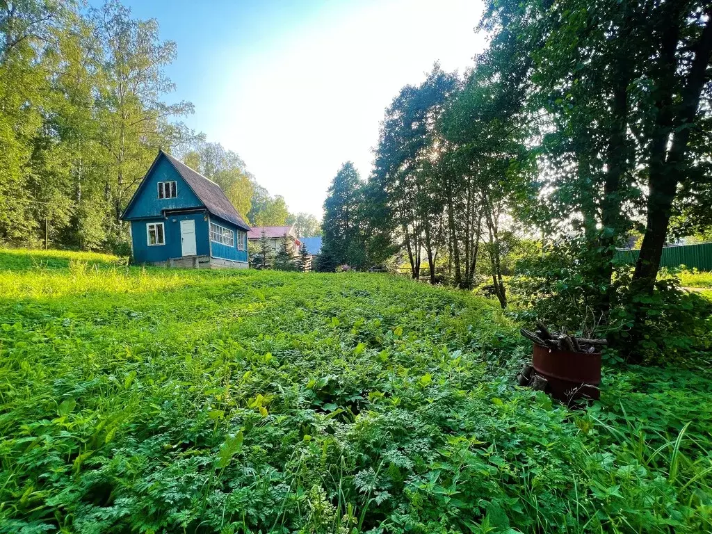 2 299 999 Руб., Участок 10,1 соток в СНТ Энергетик-Введенское, Купить  земельный участок Введенское, Домодедово г. о., ID объекта - 203346824