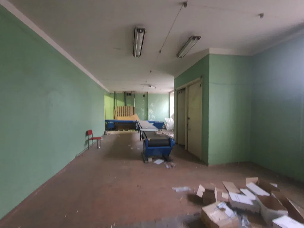Продается ПСН 194.9 м2 - Фото 4