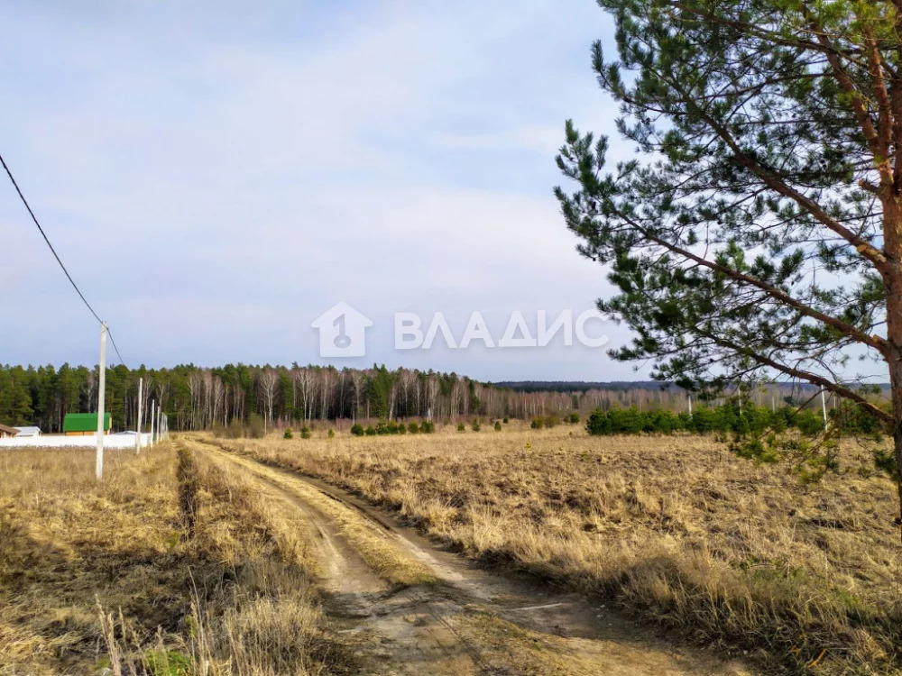 Судогодский район, деревня Суховка, земля на продажу - Фото 6