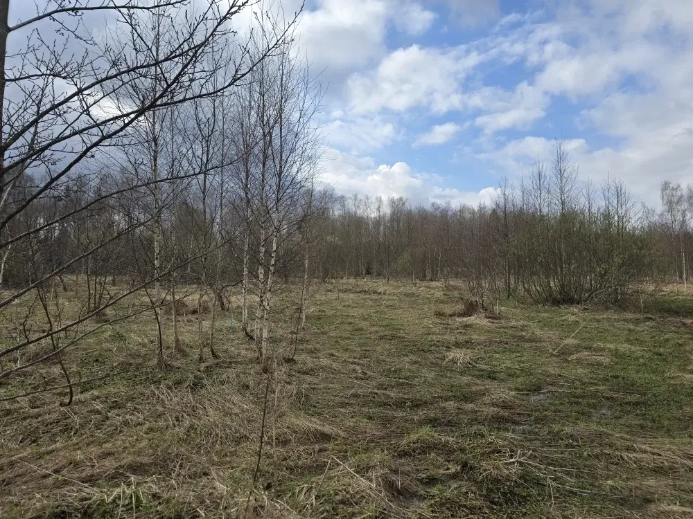 Продаю участок 10 соток в пос. Гарь-Покровское - Фото 10