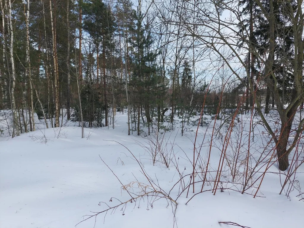 Продажа участка, Электроугли, Богородский г. о. - Фото 0