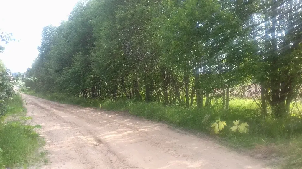 Продается участок земли 30 сот с электричеством в д.Мытники Рузский р. - Фото 4