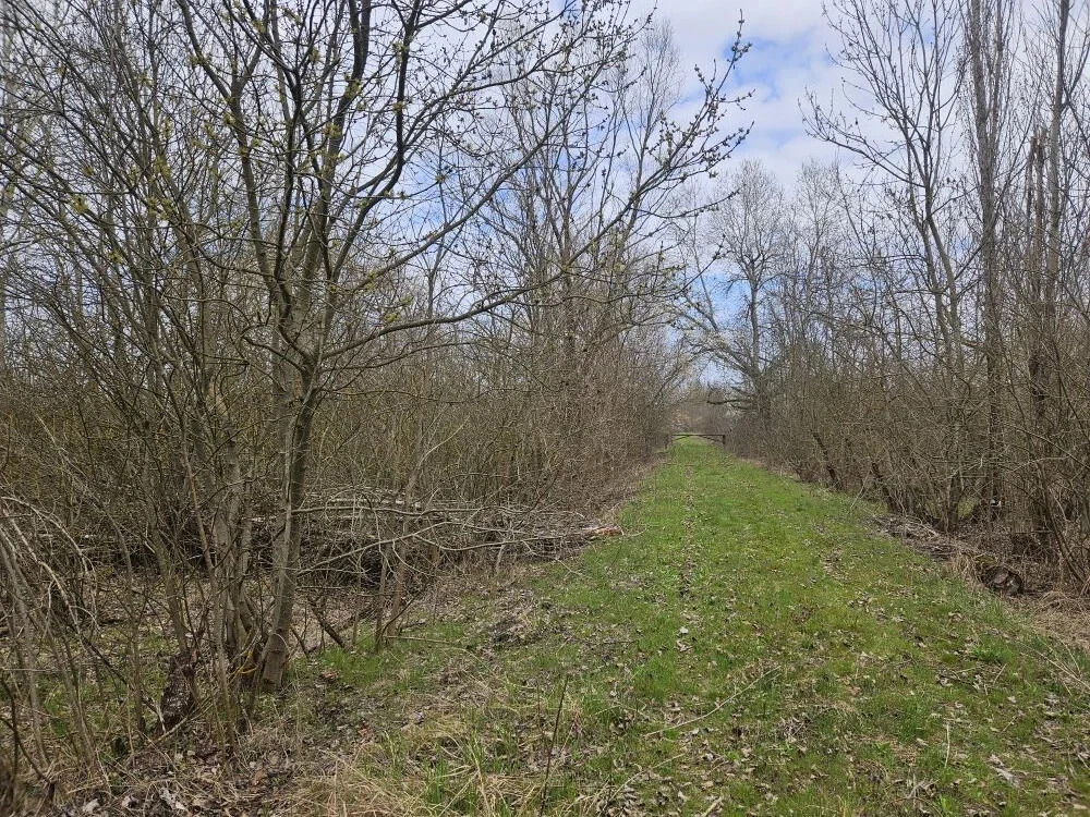 Продажа участка, Мингрельская, Абинский район - Фото 2