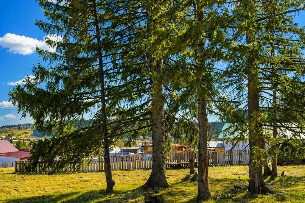 Земельный участок по ул. Труда - Фото 3