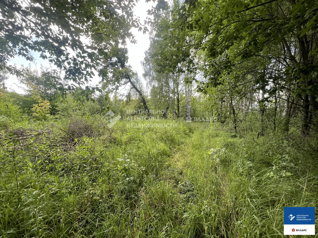 Продажа участка, Рязанский район, садовое товарищество Листвянка - Фото 3