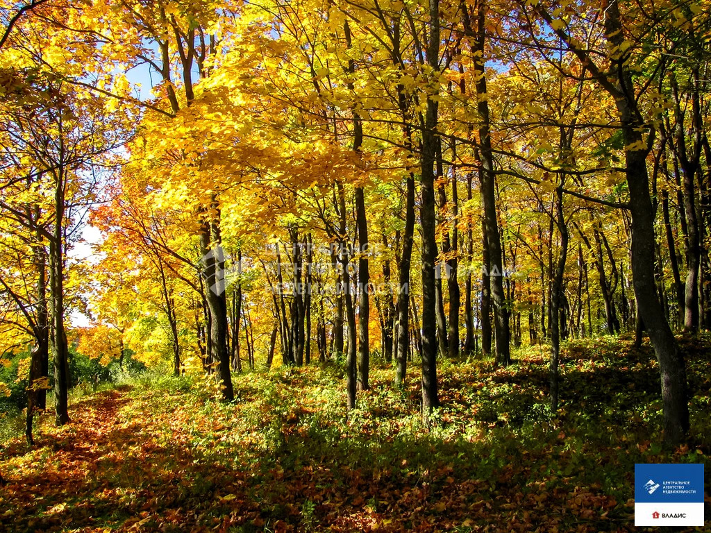 Продажа участка, Лощинино, Касимовский район - Фото 0