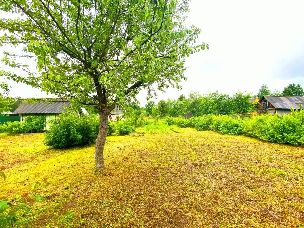 Дача в СНТ Мир - Фото 14