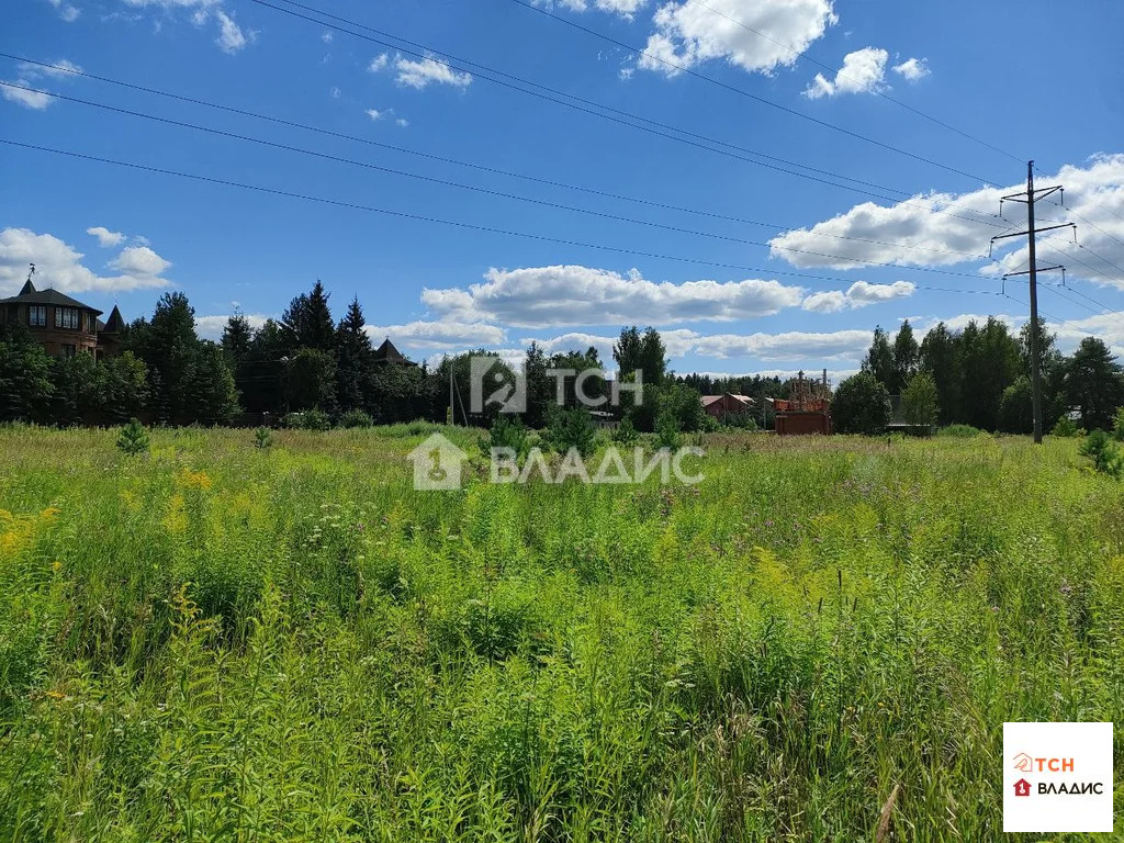 Богородский городской округ, Ногинск, Ново-Богородская улица,  земля ... - Фото 1