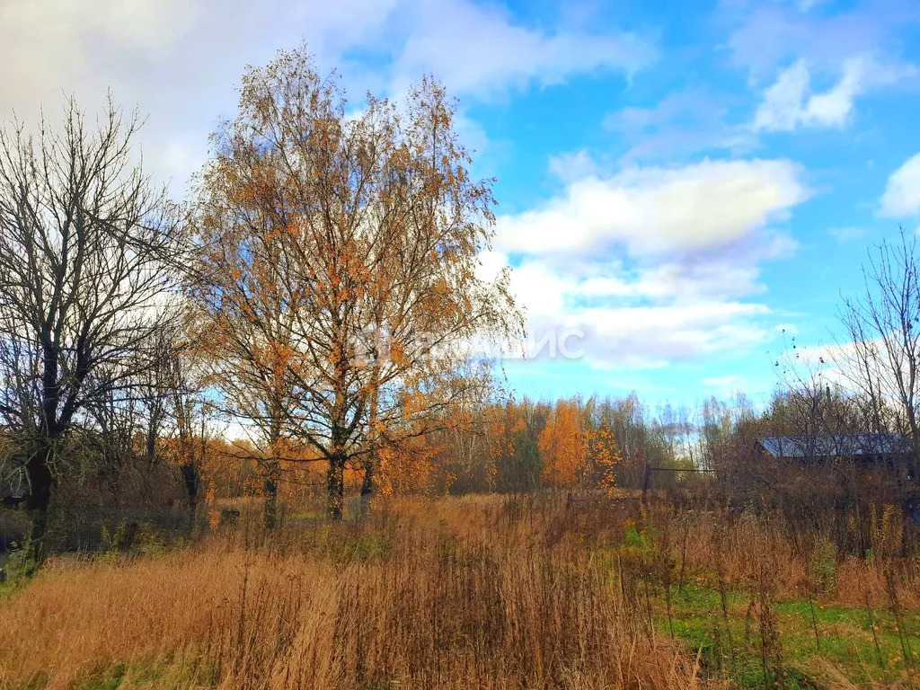 Камешковский район, деревня Гаврильцево, земля на продажу - Фото 0