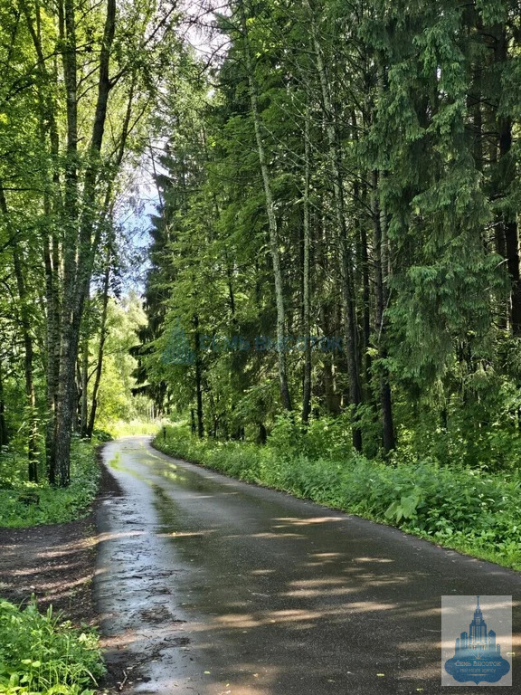 Продажа дома, Чехов, Чеховский район, 21 - Фото 38