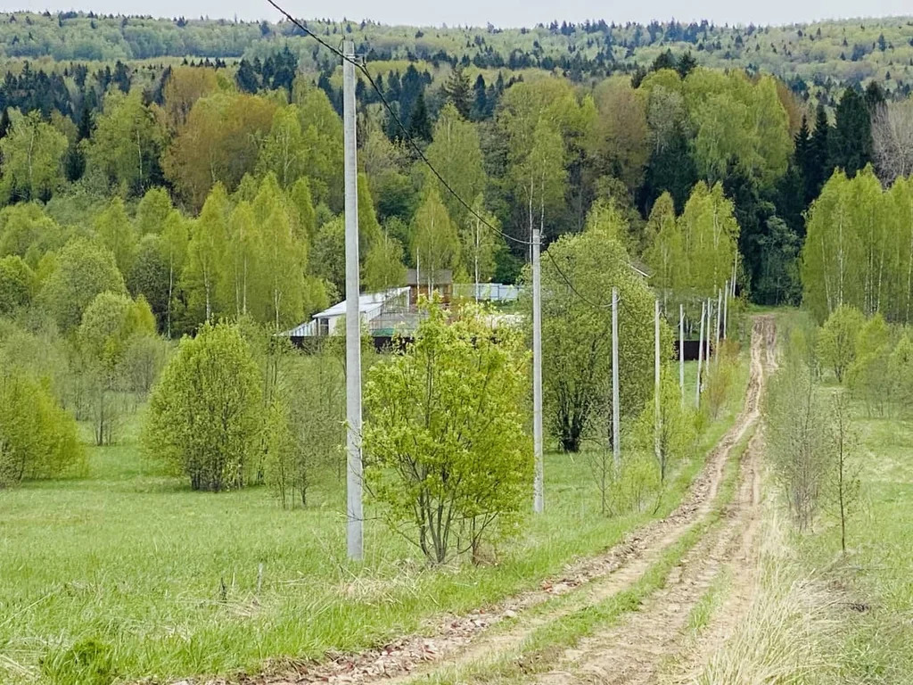 Продажа участка, Дмитровский район - Фото 1