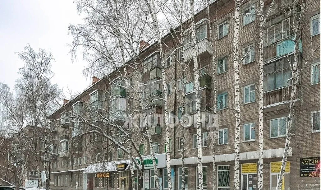 Продажа квартиры, Новосибирск, ул. Фасадная - Фото 17