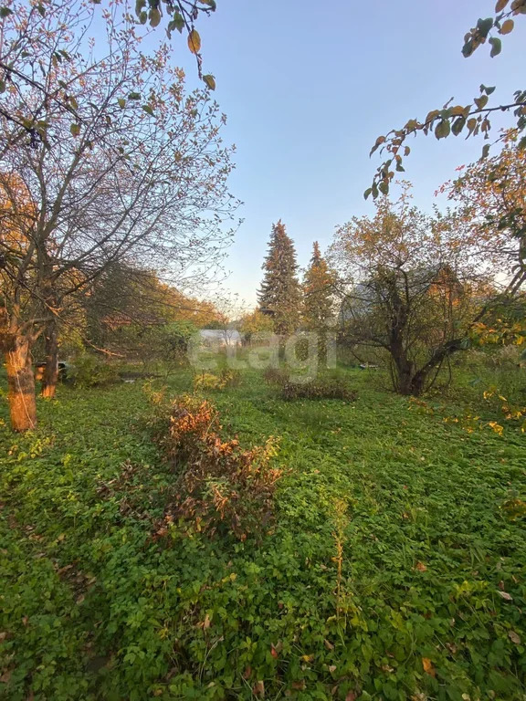 Продажа участка, Богородский г. о., садовое товарищество Строитель - Фото 5