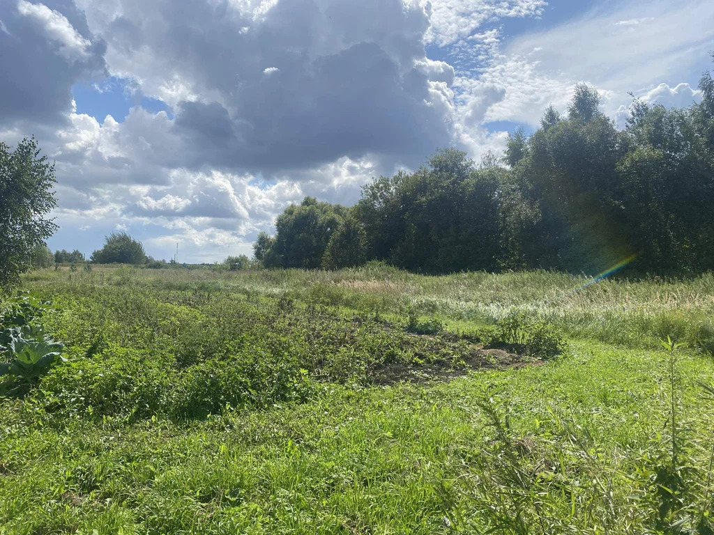 Продается земельный участок 20.269 сот. - Фото 6