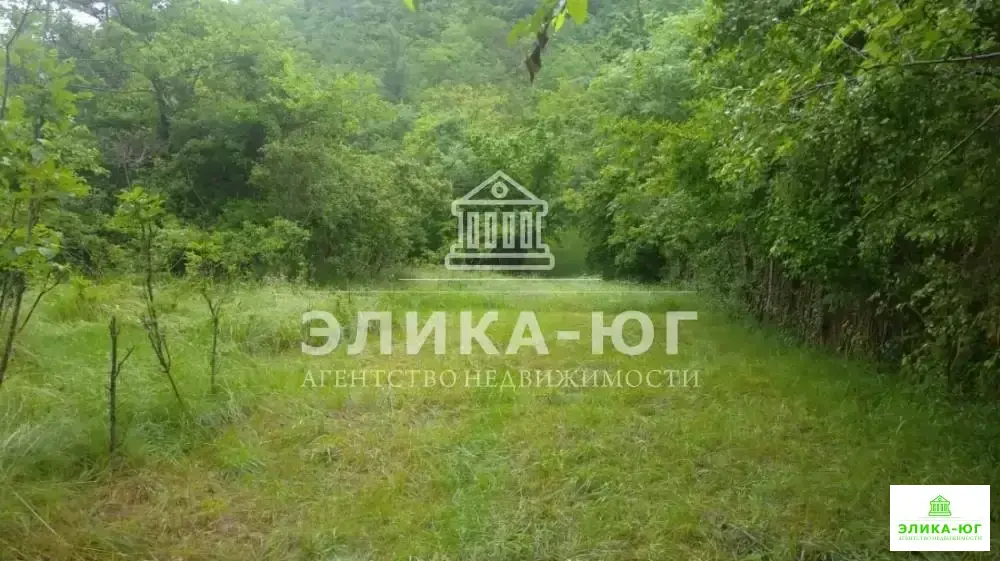 Продажа участка, Ольгинка, Туапсинский район, Ореховая роща ул. - Фото 2
