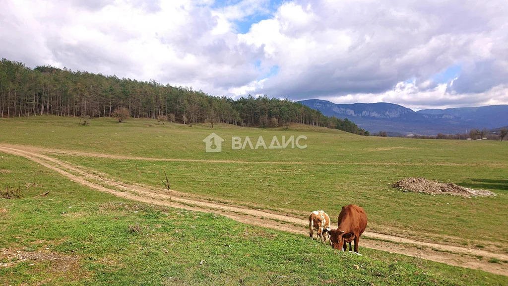 Продажа дома, Голубинка, Бахчисарайский район, ул. Дружбы - Фото 6