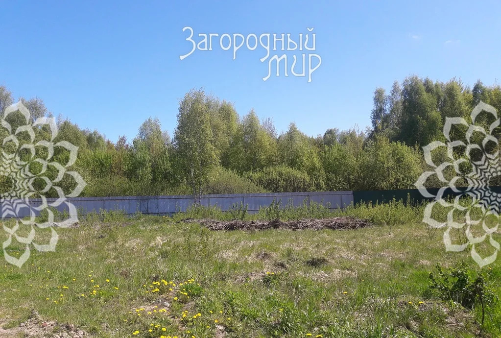 Продам участок, Новорижское шоссе, 46 км от МКАД - Фото 6