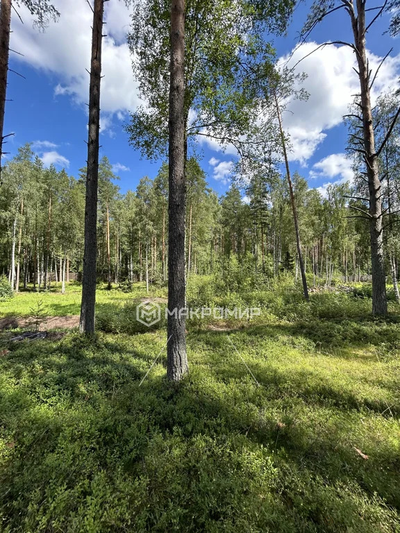 Продажа участка, Раздолье, Приозерский район - Фото 10