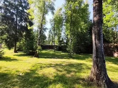 Участок 20 сот. (СНТ, ДНП) - Фото 21