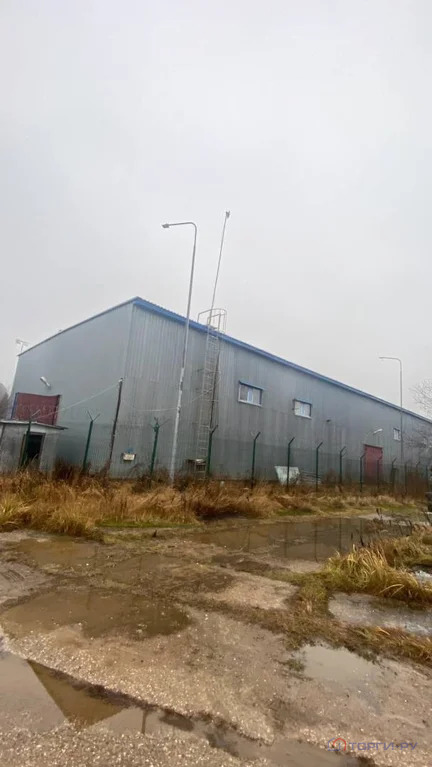 Продажа ПСН, Маклино, Малоярославецкий район, ул. Центральная - Фото 3