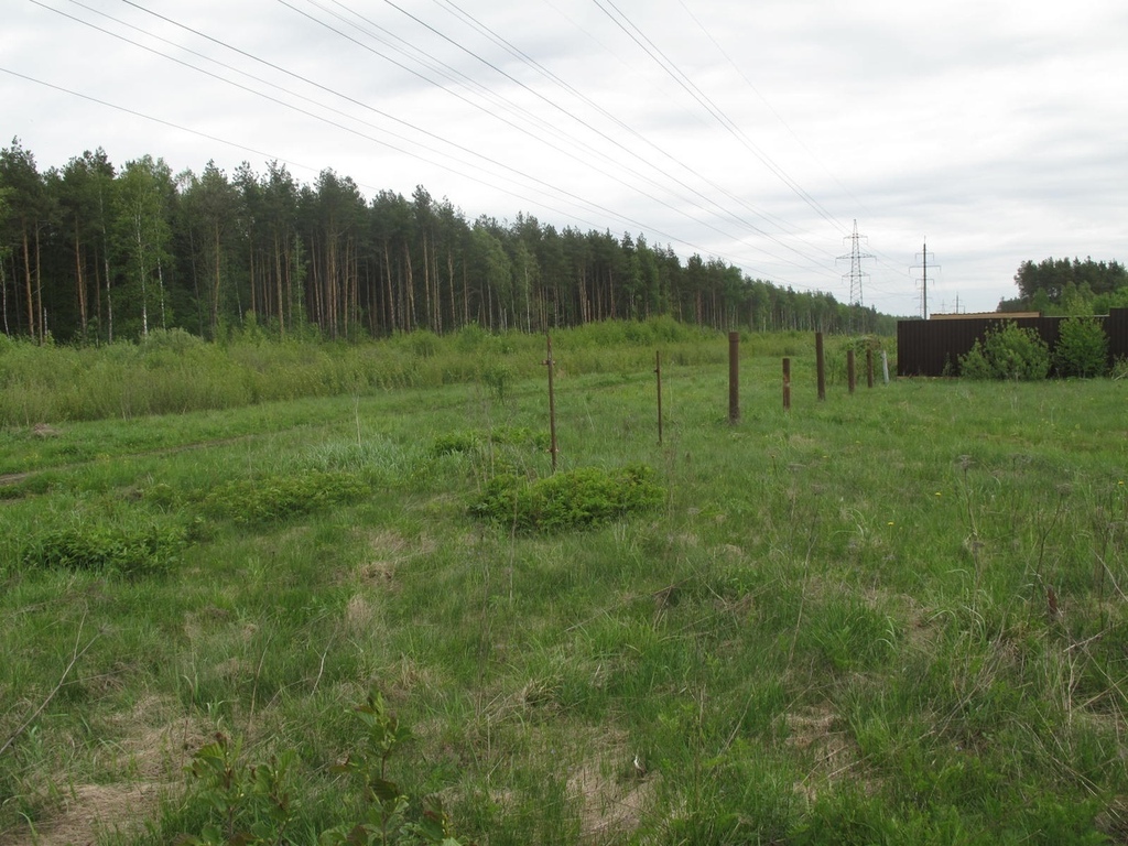 Купить Участок В Донино Раменского Района
