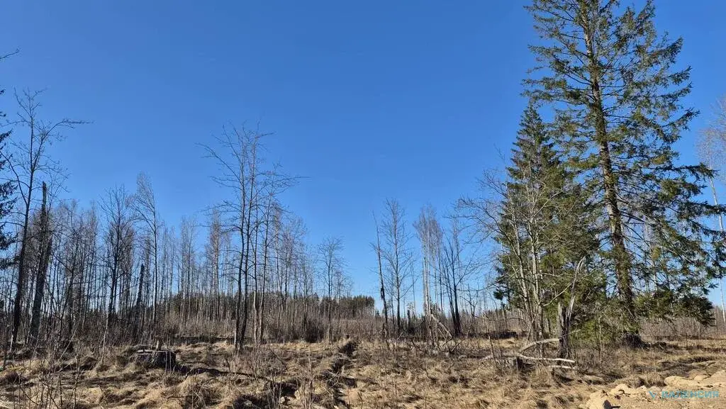 Продается ЗУ в собственности в ТСН "Вымпел" - Фото 1