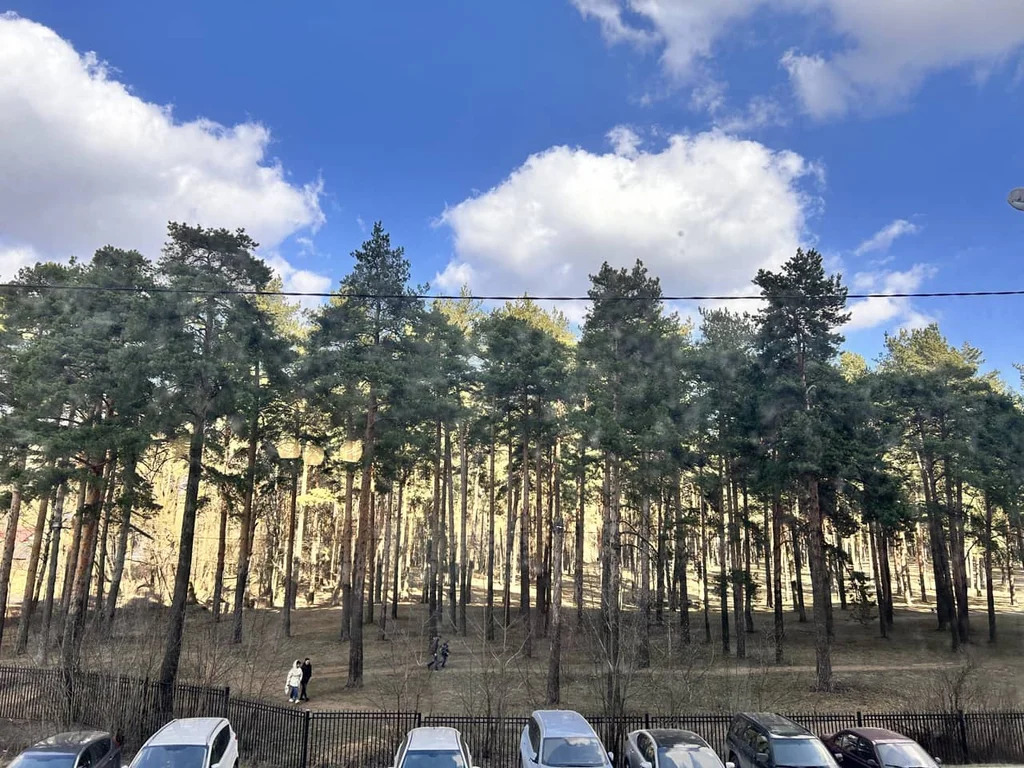 Продажа квартиры, Дмитров, Дмитровский район, микрорайон имени В.Н. ... - Фото 12