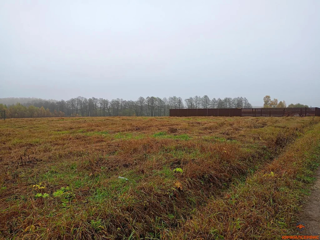 Продажа участка, Домодедово, Домодедово г. о., Московская область - Фото 2