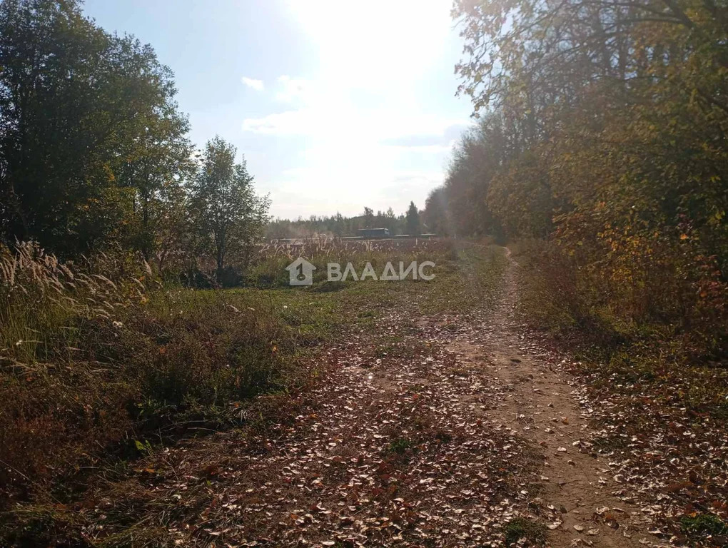 Суздальский район, СНТ Родник,  земля на продажу - Фото 3