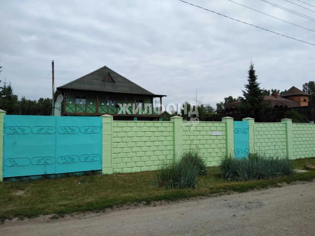 Продажа дома, Боровое, Новосибирский район, Светлая - Фото 0