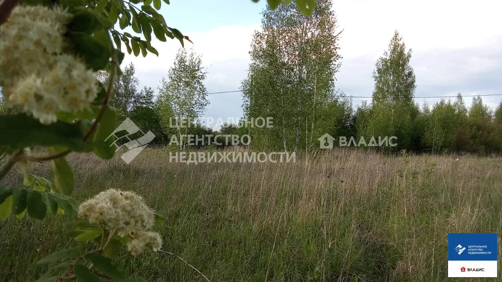 Продажа участка, Мурмино, Рязанский район - Фото 5