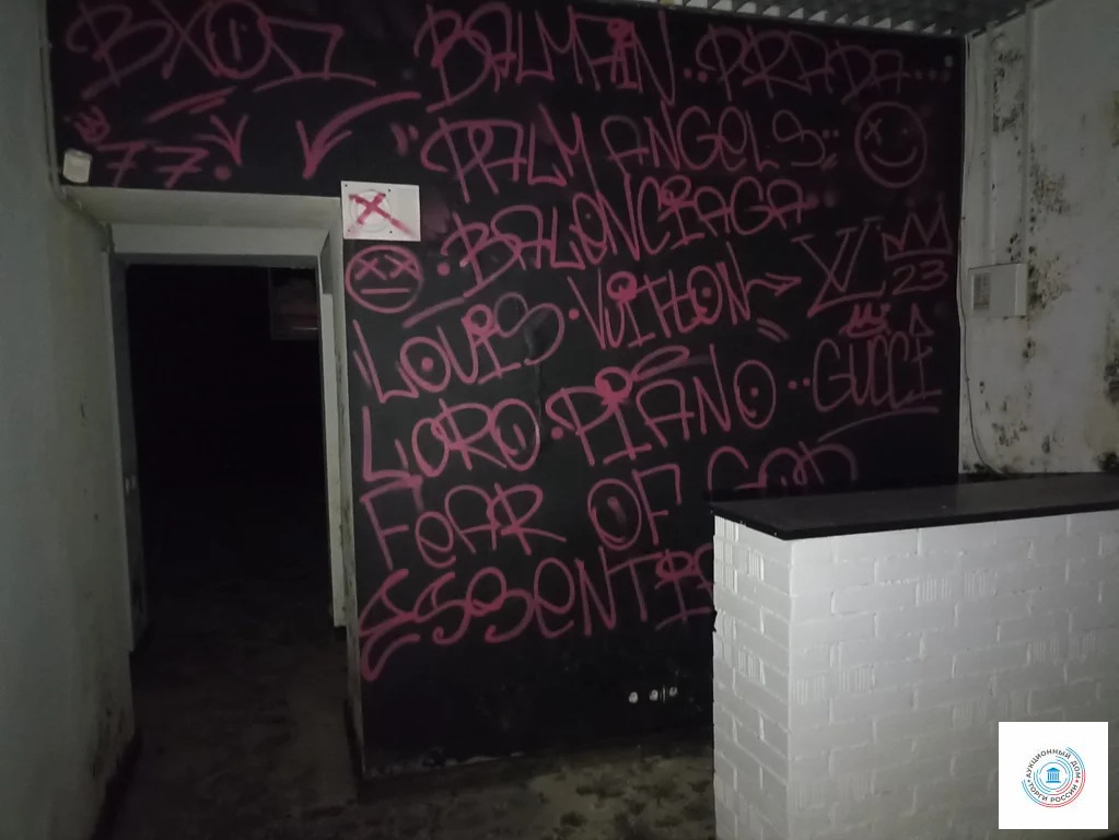 Помещение свободного назначения, 75.7 м - Фото 3