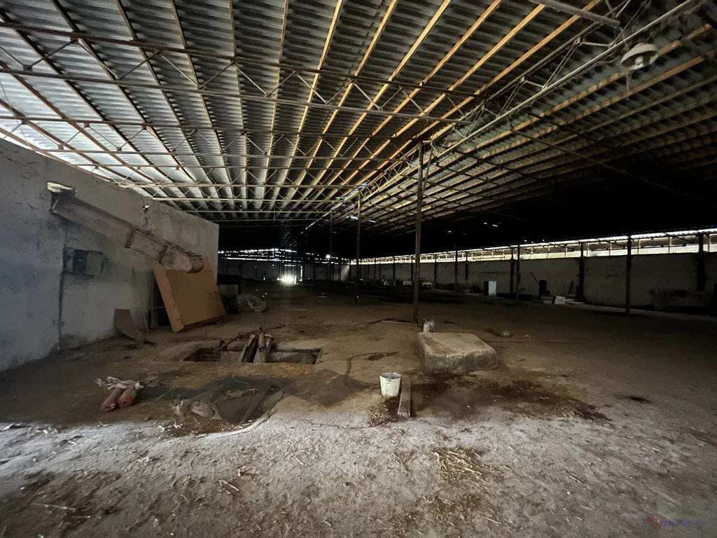 Продажа производственного помещения, Новоалександровск, ... - Фото 15