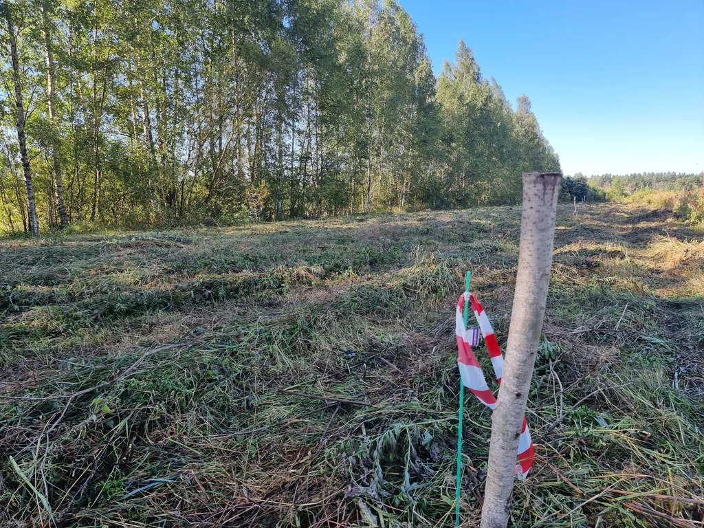 Продажа участка, Большие Пороги, Всеволожский район - Фото 10