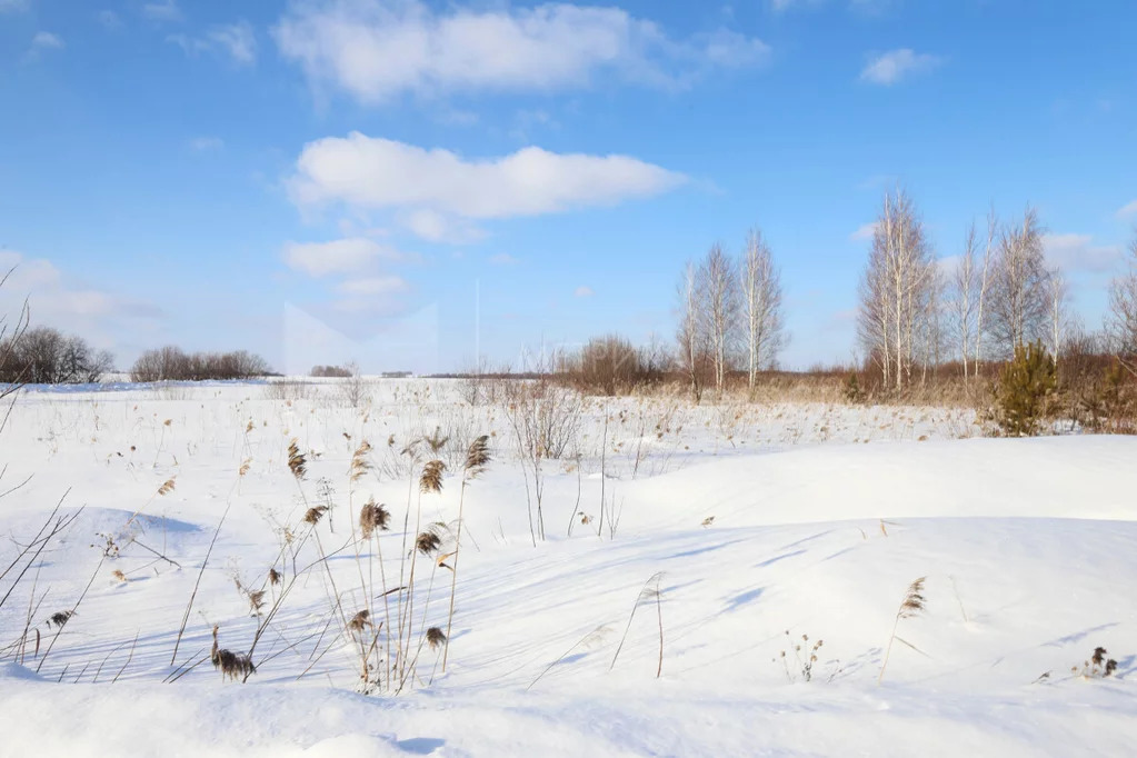 Продажа земельного участка, Тюменский район, Тюменский р-н - Фото 21